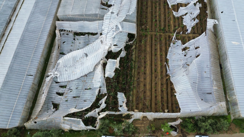 Mersin'de seraları hortum vurdu