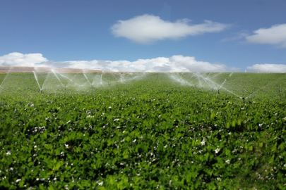Sukkar Şeker, 1 milyar 617 milyon TL pancar bedeli ödedi