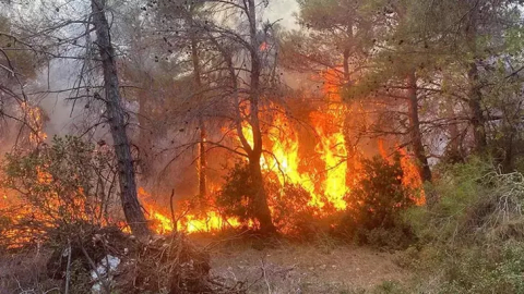 Nepal’de orman yangını: 4 kişi hayatını kaybetti