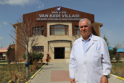 Van Kedi Villası'nda yılın ilk yavruları dünyaya geldi