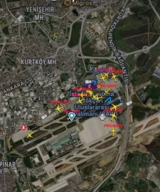 İstanbul- Sabiha Gökçen Havalimanı apronunda tilki alarmı: 'Tilki dolaşıyor sağ tarafımıza geçti'