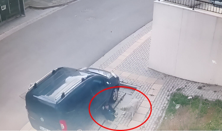 Okuldan çıkan çocuğa başıboş köpeklerin saldırısı kamerada