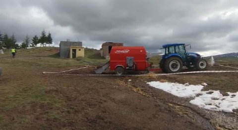 Çalışır haldeki yem karma makinesine düşerek öldü
