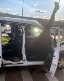 Gaziantep’te , yola fırlayan at polis aracına girdi