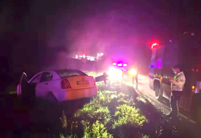 Otomobil elektrik direğine çarptı; 1 yaralı