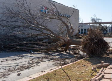 ABD’de fırtına: 3 ölü