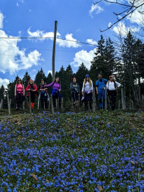 Mor yaylada yürüyüş