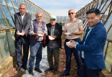 10 dakika süren dolu, Serik'teki seralara zarar verdi