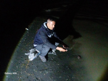 Van'da kaçak avlanan 60 kilo canlı inci kefali ele geçirildi