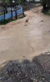 Tokat'ta aşırı yağış sele neden oldu