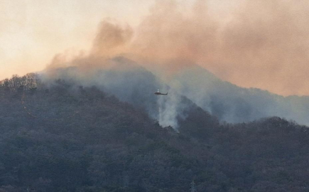 Güney Kore'de orman yangını nedeniyle tahliye karar verildi