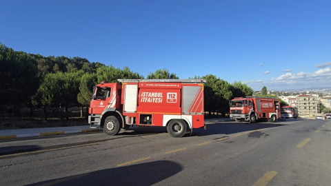 İstanbul - Pendik Aydos Ormanı’nda başlayan yangın büyümeden söndürüldü