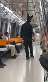 İstanbul - Sarıyer'de metroda elinde tüfekle gezen tavşan kostümlü kişi gözaltına alındı