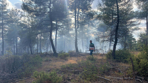 Yıldırım düşen ormanda çıkan yangında 1 hektar alan zarar gördü