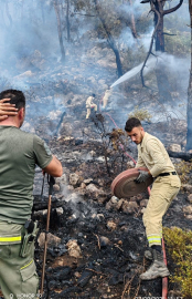 Antalya'da orman yangını / Ek fotoğraflar