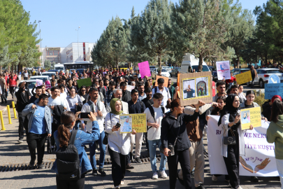 Rojin Kabaiş için yapılan yürüyüşte, üniversite öğrencisine otomobil çarptı (2)