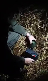 Yaban hayvanlarını avlamak için ses cihazı ve düzeneği kurmuşlar