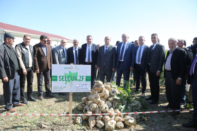 PANKOBİRLİK ve Selçuk Üniversitesi tarafından geliştirilen yerli şeker pancarı tohumu tanıtıldı
