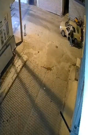 Muğla’da otomobilin altında sürüklenen oklu kirpi öldü