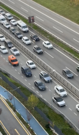 İstanbul - Ümraniye'de otoyol üzerinde ilerleyen koyun, sürücülere zor anlar yaşattı