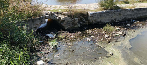 'Biriken atıklar temizlenmezse çöpler Ege Denizi'ne ve Bafa Gölü'ne kadar ulaşır'