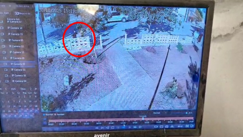 Mardin’de 2 çocuk parkın duvarını tekmeledi; o anlar kamerada