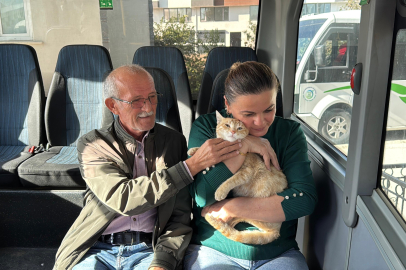 Ordu - 'Yolcu' isimli kedi, tedavi edildiği dolmuş durağının maskotu oldu /Video eklendi