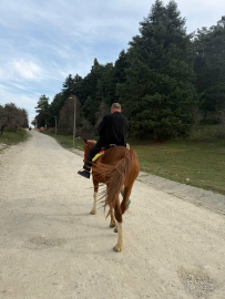 Bindiği at, huysuzlanıp koşmaya başlayınca panik yaşadı; o anlar kamerada