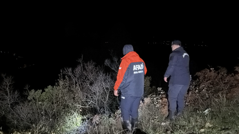 Ormanda defne yaprağı toplarken kaybolan kadın için arama çalışması başlatıldı