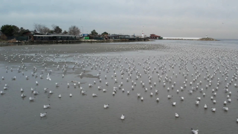 İstanbul- Silivri ve Avcılar'da deniz metrelerce çekildi