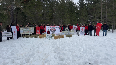 Vakıflar Genel Müdürlüğü tarafından yaban hayvanları için doğaya yem bırakıldı