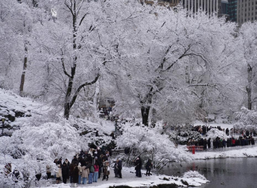 New York’ta soğuk hava nedeniyle 18 kişi hayatını kaybetti