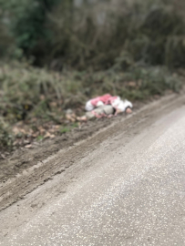 TIR’la getirilip, köye bırakılan düzensiz göçmenler yakalandı; 1 göçmen hipotermiden öldü