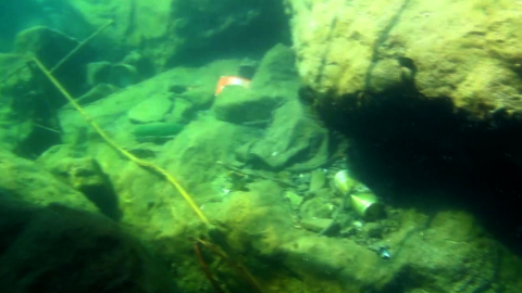 Karadeniz'de 'sessiz katil hayalet ağlara' robotik müdahale/Ek fotoğraflar