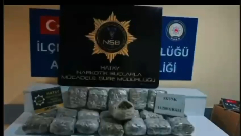 Hatay'da 11 kilo 200 gram skunk ele geçirildi; 1 tutuklama