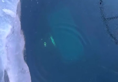 Rusya'da Baykal Gölü'nde tur aracı buzun altına düştü: 8 ölü