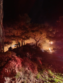 Bodrum’da ormanda çıkan yangın söndürüldü