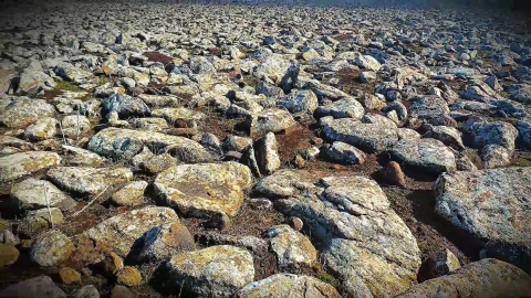 Şanlıurfa’da volkanik bazalt taşlarının altında cephanelik ele geçirildi: 8 gözaltı
