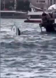 İstanbul - Karaköy'de yolcu vapuru tekneye çarptı; balıkçı denize düştü