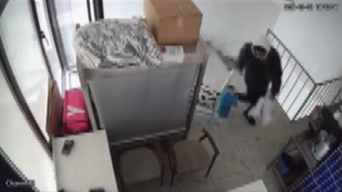 İstanbul - Kadıköy’de iş yerinden laptop hırsızlığı kamerada