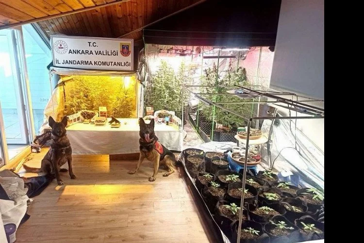 Ankara'da narkotik operasyonu: 5 gözaltı
